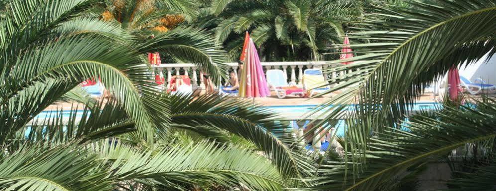 Residence Thalassa カルヴィ エクステリア 写真